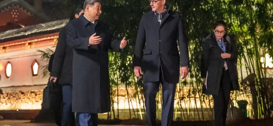 A Nova Direção da Política Econômica da Alemanha em Relação à China