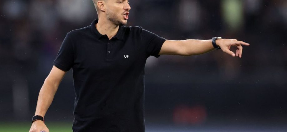 Botafogo encerra vínculo com Martín Anselmi após início insatisfatório