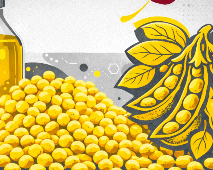 Brasil Rumo a um Recorde Histórico no Processamento de Soja em 2026