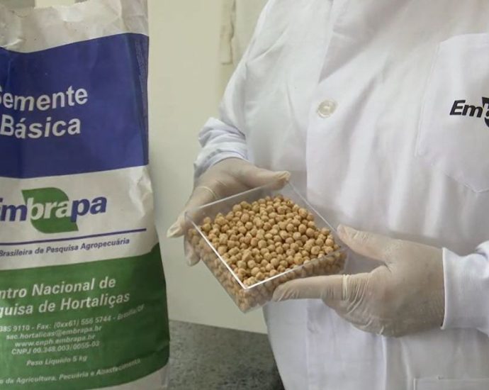 Brasil na Lua: Inovação em Agricultura Espacial pela Embrapa