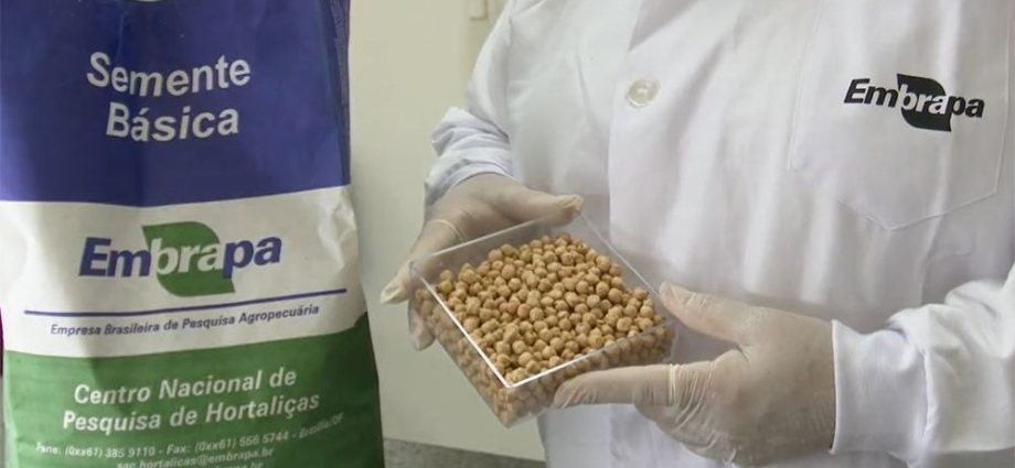 Brasil na Lua: Inovação em Agricultura Espacial pela Embrapa