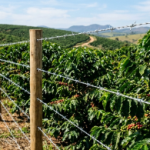 Belgo Arames Apresenta Inovações em Cercamento para Cafeicultura na Femagri 2026