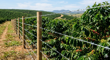 Belgo Arames Apresenta Inovações em Cercamento para Cafeicultura na Femagri 2026