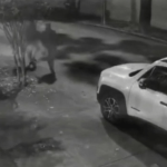 Seis homens são detidos após ataque violento a capivara no Rio de Janeiro