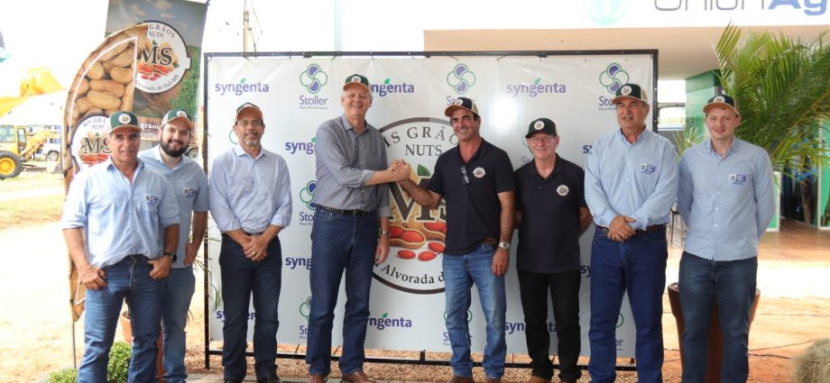 Crescimento da Cadeia do Amendoim em Mato Grosso do Sul: Novos Investimentos à Vista