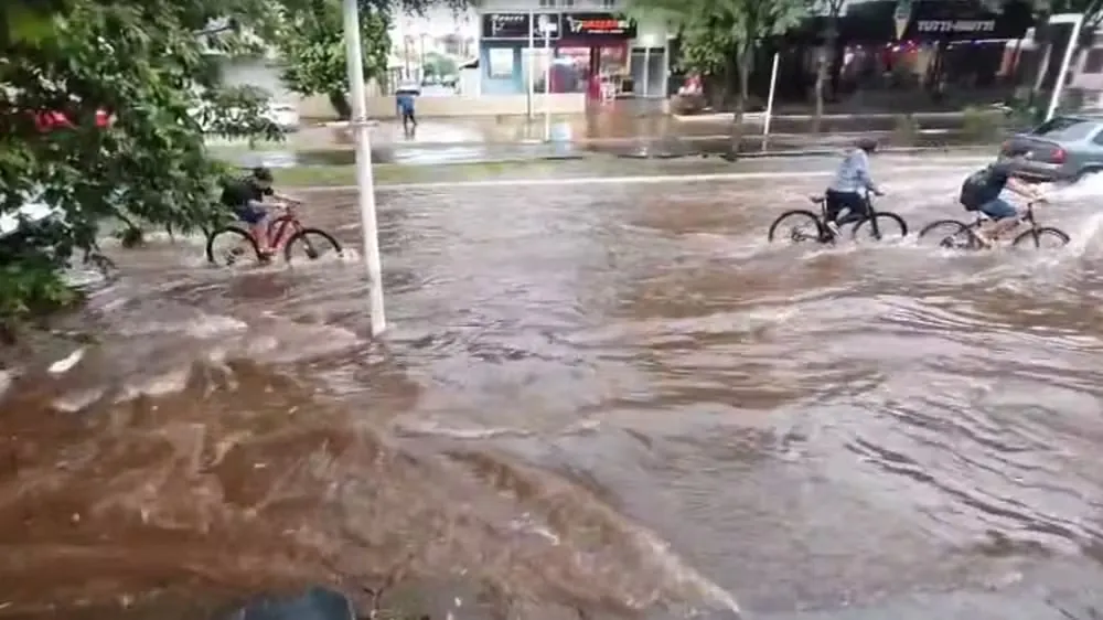 ALAGAMENTO EM ILHA SOLTEIRA: 55 MM DE CHUVA CAUSAM TRANSTORNOS