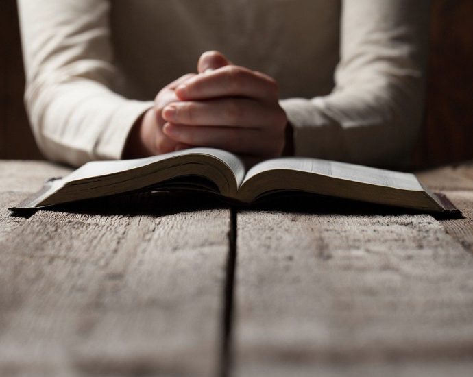 Dia de Oração pelo Desarmamento e pela Paz: Uma Iniciativa da CNBB