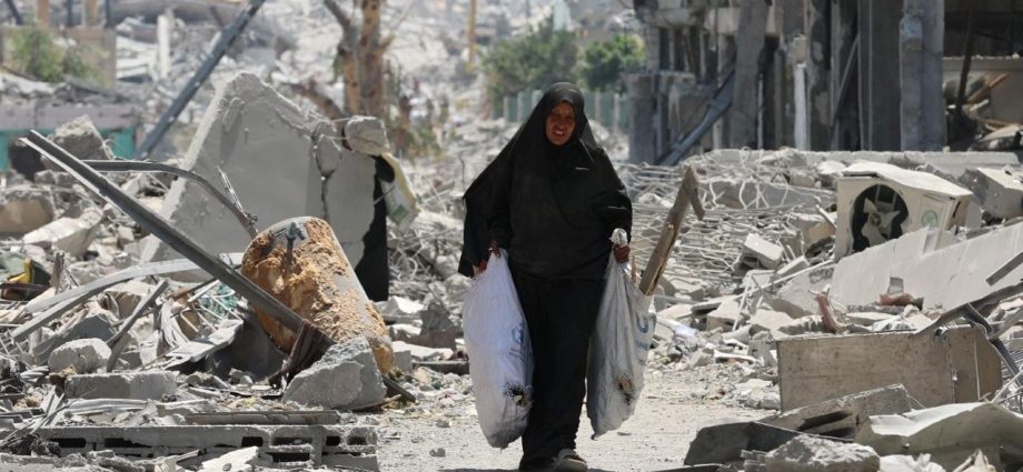 Papa Francisco Defende a Vida em Todas as Fases em Mensagem de Paz