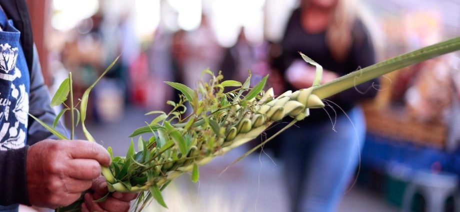Bispos da América Latina convocam à reflexão para a Semana Santa
