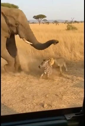 Inspirações do Pinterest para Estilo e Criatividade