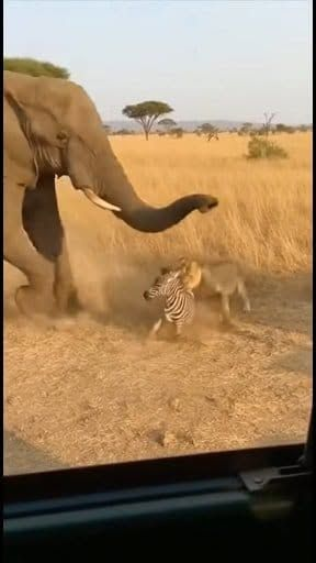 Inspirações do Pinterest para Estilo e Criatividade