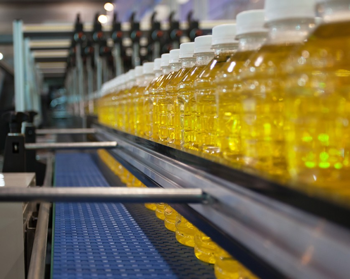 Mato Grosso do Sul Registra Exportações de Produtos Industrializados de US$ 646,4 Milhões em Fevereiro