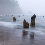 Cascadia: A Zona de Subducção e Seus Riscos Sísmicos