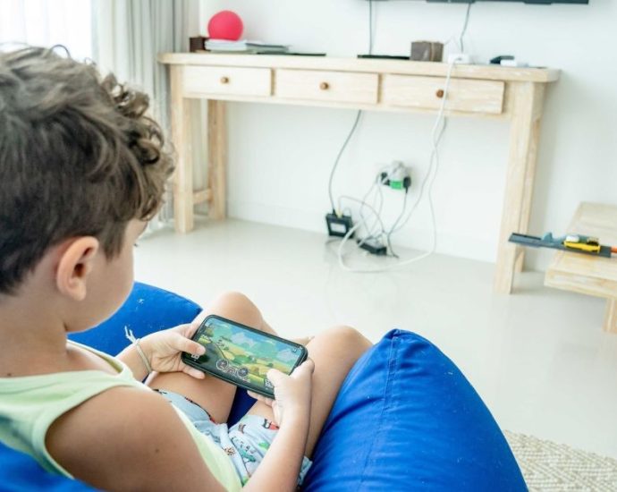 Mudanças na Internet: ECA Digital e Decisões Judiciais nos EUA Buscam Segurança Online
