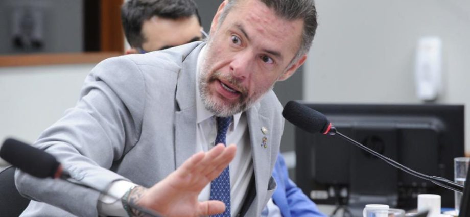 Projeto de Lei Avança em Brasília para Inclusão de ONGs no Combate à Violência contra a Mulher