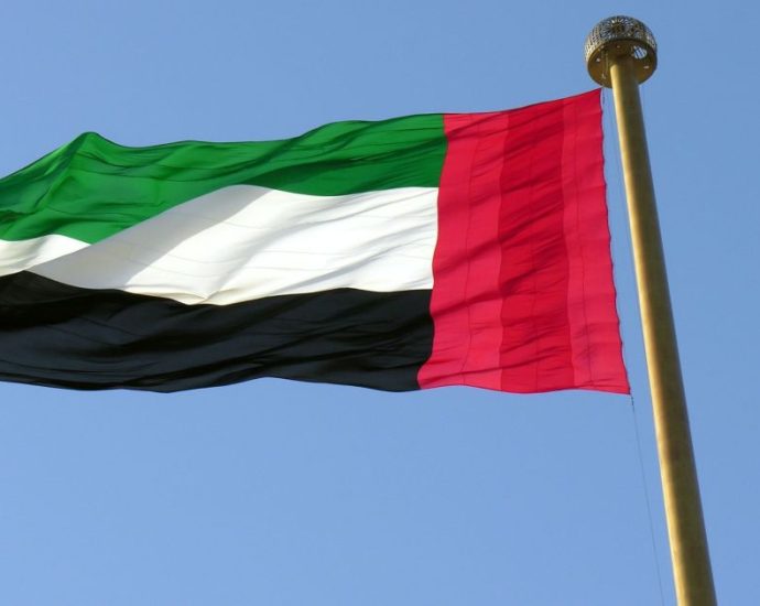 Emirados Árabes Unidos Retomam Tráfego Aéreo Após Medidas de Segurança