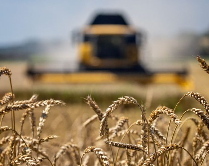 Goiás Atrai Investimentos da Louis Dreyfus Company com Créditos de ICMS