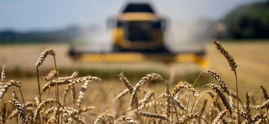 Goiás Atrai Investimentos da Louis Dreyfus Company com Créditos de ICMS