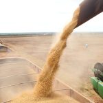 Brasil exporta 15,8 milhões de toneladas de soja em março, aponta ANEC