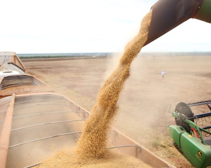 Brasil exporta 15,8 milhões de toneladas de soja em março, aponta ANEC