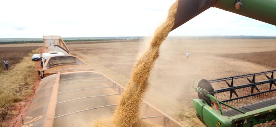 Brasil exporta 15,8 milhões de toneladas de soja em março, aponta ANEC