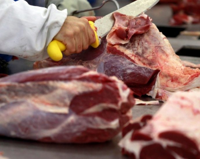Suspensão de frigorífico brasileiro pela China gera preocupação no setor de carnes