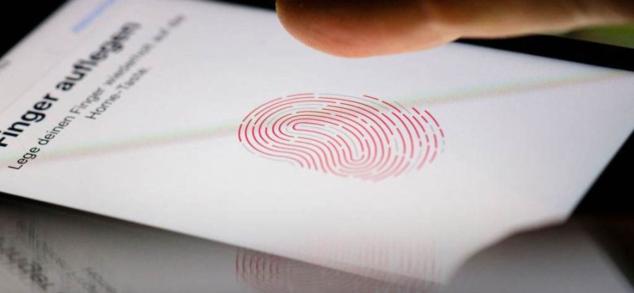 Governo Estende Prazo para Emissão da Carteira de Identidade Nacional em Benefícios Sociais