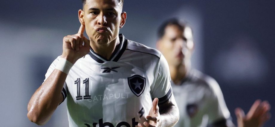 Botafogo conquista vitória emocionante sobre o Vasco com gol de Matheus Martins