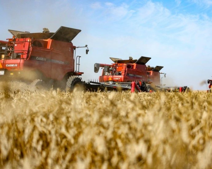 Aumento nas Exportações de Trigo da Rússia para o Sudão
