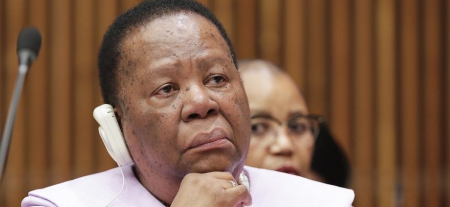 Ex-Ministra da África do Sul Critica Projeto de Pena de Morte em Israel Voltado a Palestinos