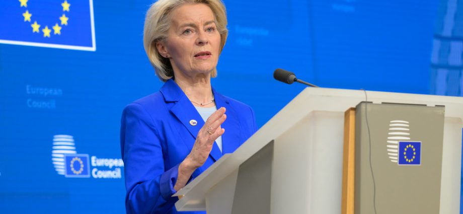 Críticas à Liderança da União Europeia: Weidel Comenta Sobre Von der Leyen e Orban