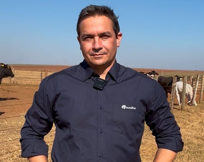 Desafios no Confinamento de Bovinos: A Importância da Adaptação e Protocolos Sanitários