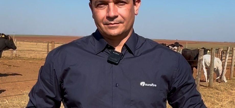 Desafios no Confinamento de Bovinos: A Importância da Adaptação e Protocolos Sanitários