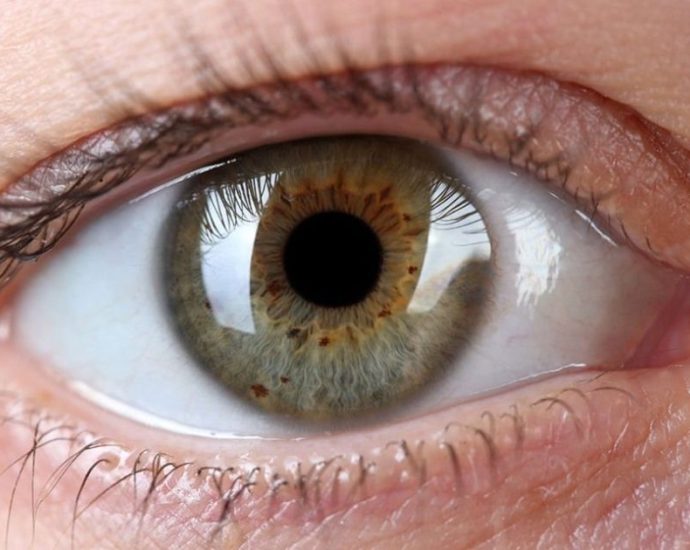 Campanha Abril Marrom Destaca Importância da Prevenção da Cegueira