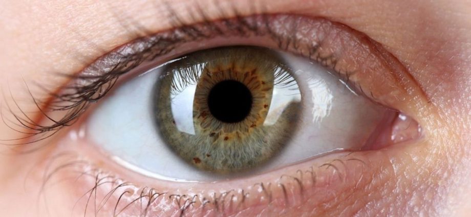 Campanha Abril Marrom Destaca Importância da Prevenção da Cegueira