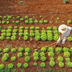 Agraer Amplia Acesso ao Crédito Rural para Agricultores Familiares