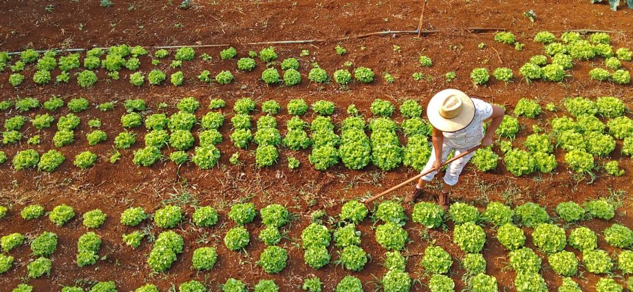 Agraer Amplia Acesso ao Crédito Rural para Agricultores Familiares