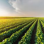 Análise de Mídia: Destaques de 06 a 08 de abril de 2026