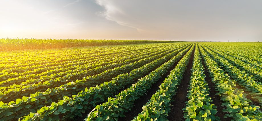 Análise de Mídia: Destaques de 06 a 08 de abril de 2026