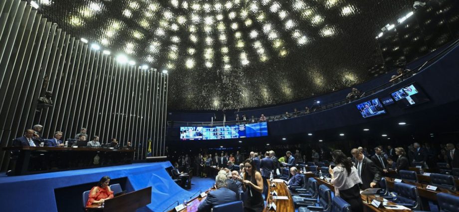 Levantamento aponta Carlos Bolsonaro e Carol De Toni na liderança ao Senado em SC