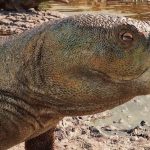 Descoberta de Réptil com Bico de Papagaio no Rio Grande do Sul