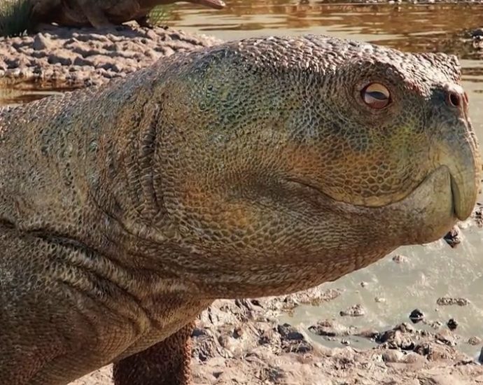 Descoberta de Réptil com Bico de Papagaio no Rio Grande do Sul