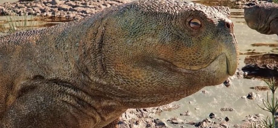 Descoberta de Réptil com Bico de Papagaio no Rio Grande do Sul