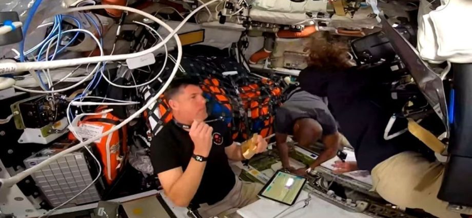 Astronautas da Artemis II aproveitam refeição a bordo da cápsula Orion