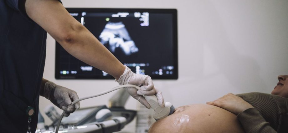 Cerca de 20% das gestantes no Brasil não recebem o pré-natal adequado