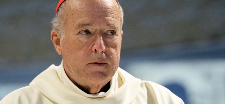 Cardeal McElroy critica guerra no Irã em missa pela paz