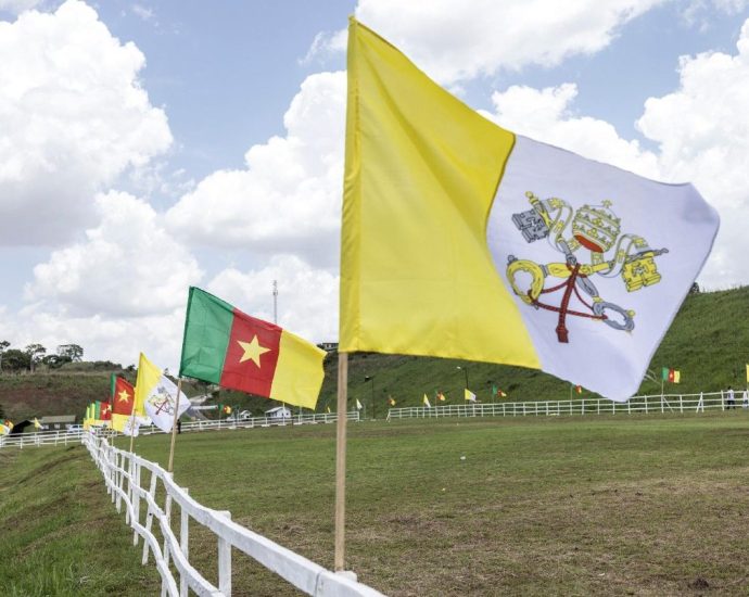 Camarões: Separatistas Declaram Cessar-Fogo Durante Visita do Papa