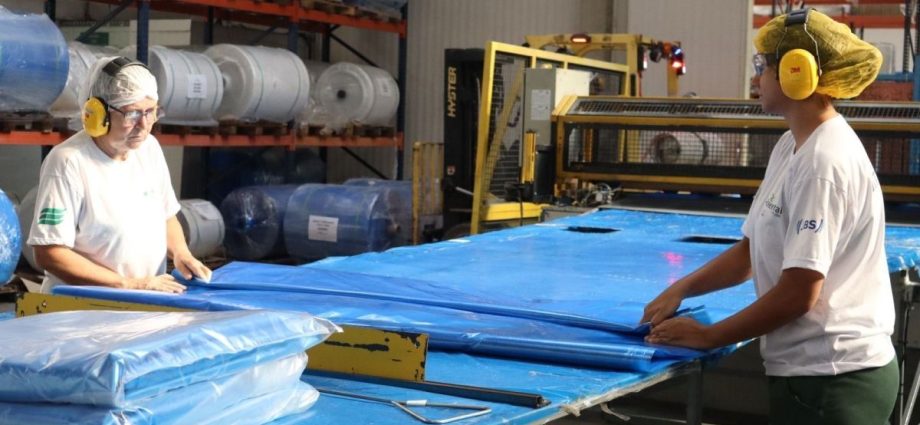 Ambiental registra recorde de 7,6 mil toneladas recicladas de embalagens para o agronegócio