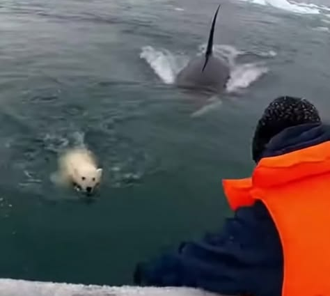 Pinterest: A Nova Obsessão Digital