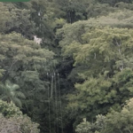 Polícia Militar Ambiental Intensifica Ações de Prevenção em Bonito